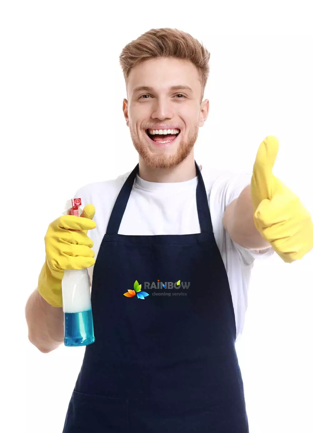 rainbow_professional_disingecrtion